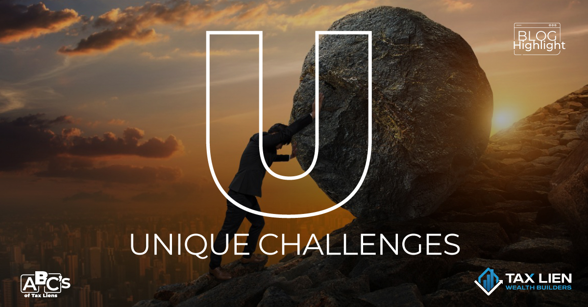 The Unique Challenges of Investing in Tax Liens